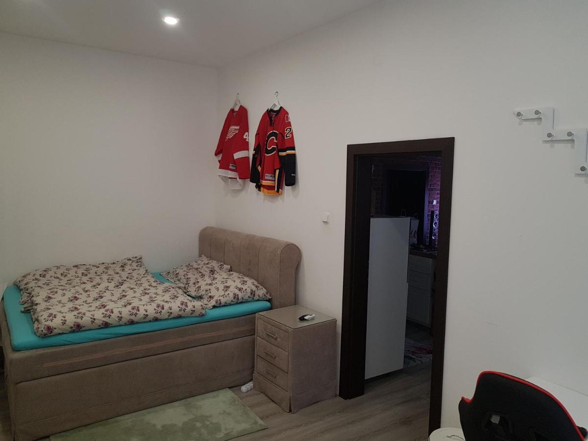 Apartman Karlovy Vary Appartement Buitenkant foto
